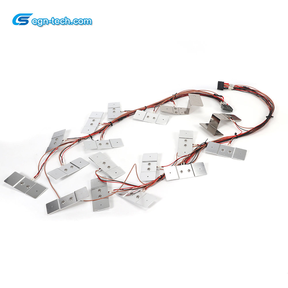 EG-N017 NTC Temperature Sensor of Harness for CCS Energy Storage Battery Voltage Collection and Temperature Detection